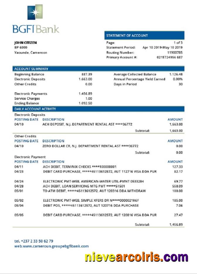 Cameroon BGFI Bank statement, Word and PDF format